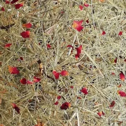ALMUT 2610 væglampe Ø 25cm, hø/røde rosenblomster