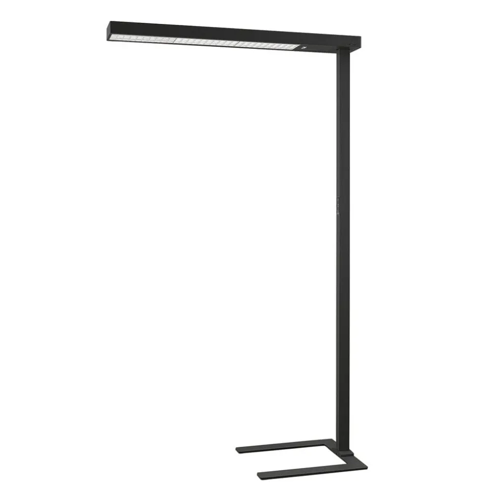 Arcchio LED-gulvlampe til kontor Susi, sæt med 2, sort, sensor