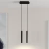 Arcchio LED-pendellampe Franka, 2 lyskilder, sort, aluminium