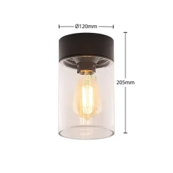 Arcchio Liljana udendørs loftslampe, IP65, sort