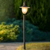 Aruba vejlampe, rustbrun