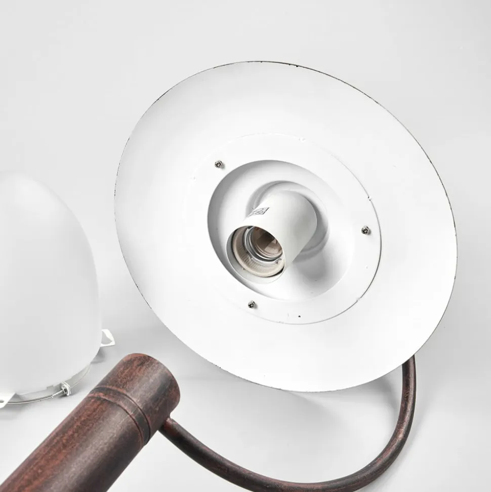 Aruba vejlampe, rustbrun