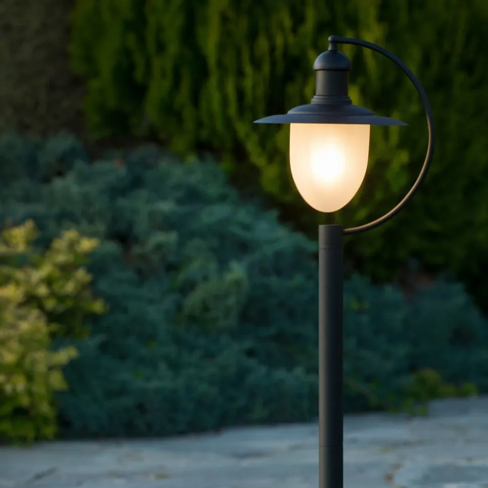 Aruba vejlampe, sort
