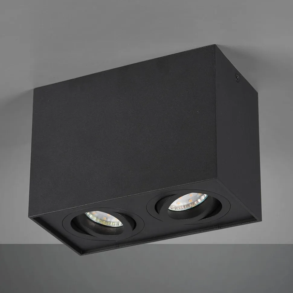 Biscuit loftlampe, 2 lyskilder, sort