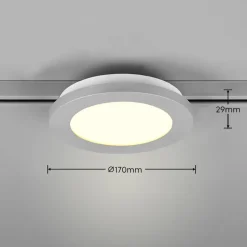 Camillus LED-skinnelampe til DUOline, titanium, Ø 17 cm