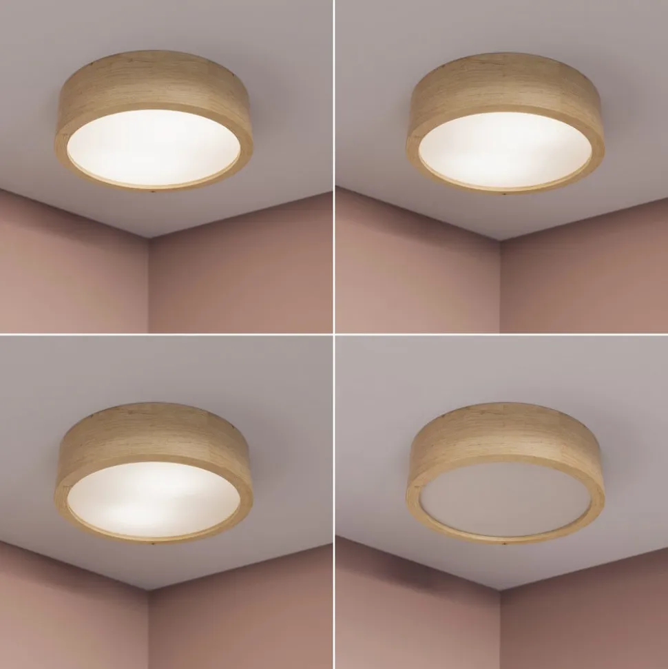 Cleo loftlampe, Ø 28 cm, 2 lyskilder, egetræ, E27