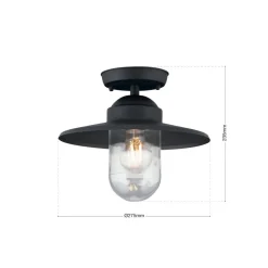 Edward udendørs loftlampe, antracit, Ø 27,5 cm, aluminium