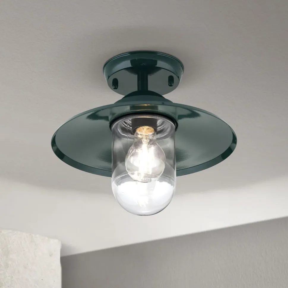 Edward udendørs loftlampe, grøn, Ø 27,5 cm, aluminium/glas