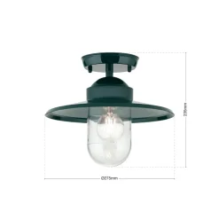 Edward udendørs loftlampe, grøn, Ø 27,5 cm, aluminium/glas