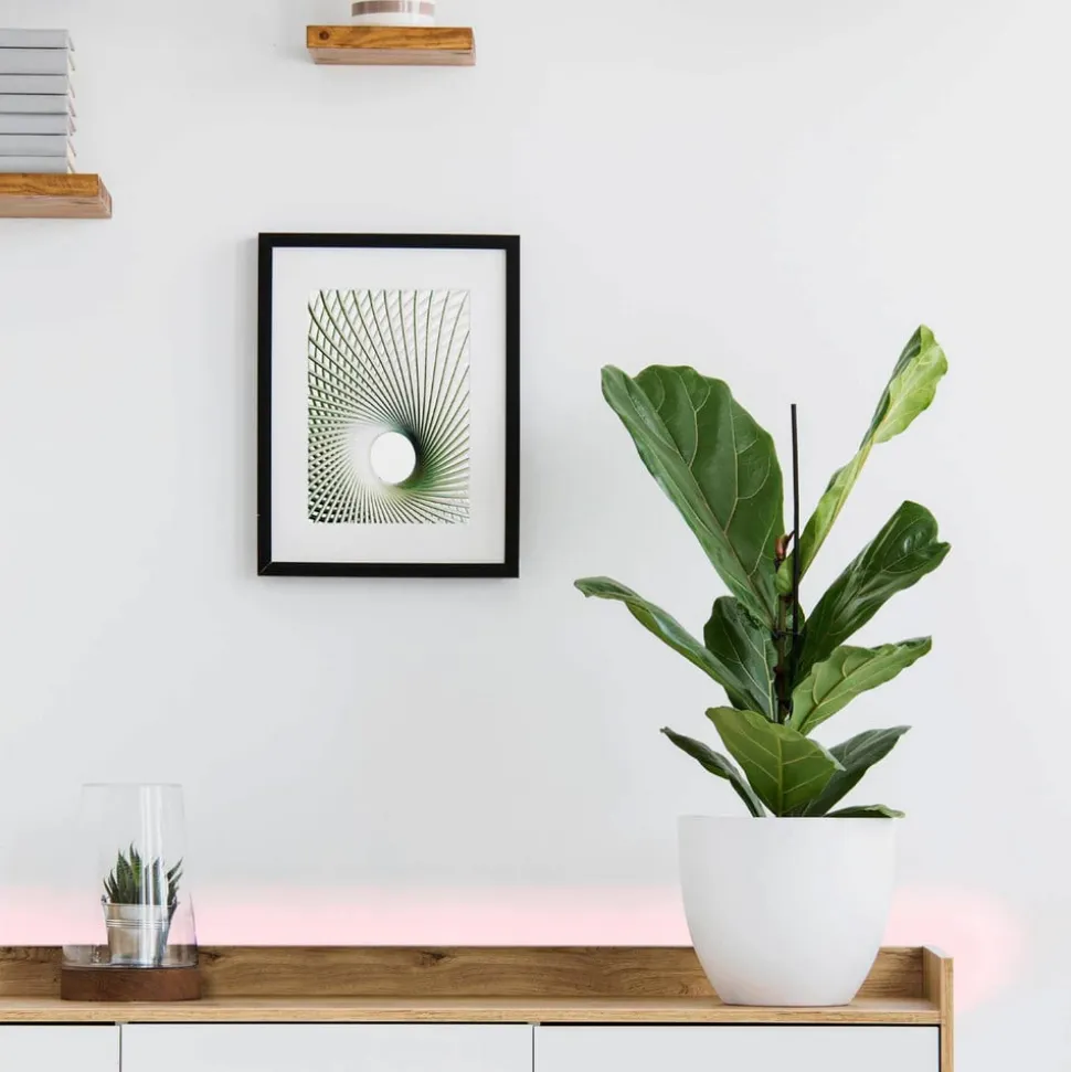 EGLO connect Stripe-C LED-strip RGBW 300 cm