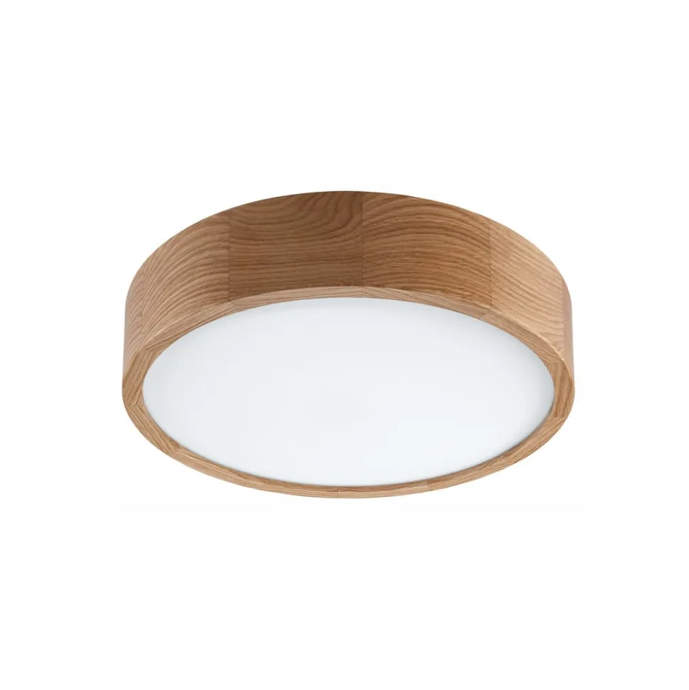 Envostar Caspian loftlampe, Ø 37 cm, IP54, eg