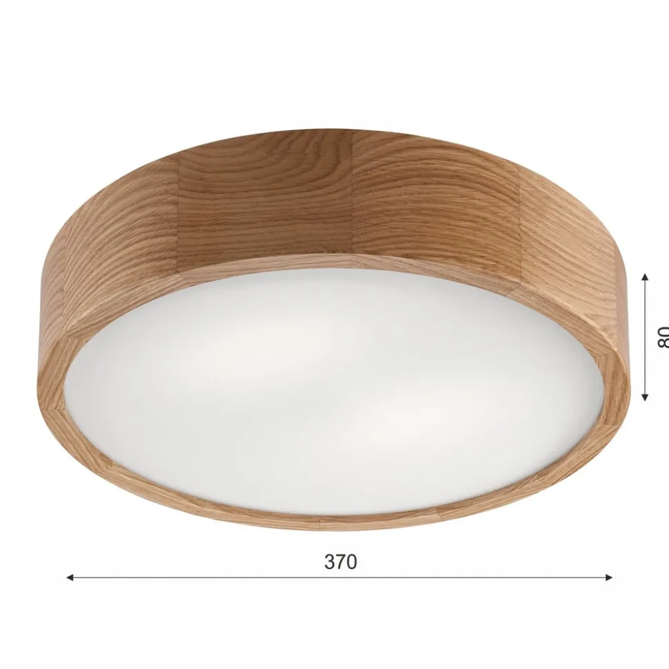 Envostar Caspian loftlampe, Ø 37 cm, IP54, eg