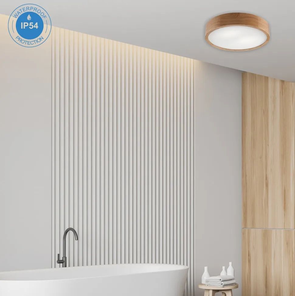 Envostar Caspian loftlampe, Ø 37 cm, IP54, eg