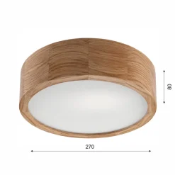 Envostar Caspian loftlampe, Ø 27 cm, IP54, eg