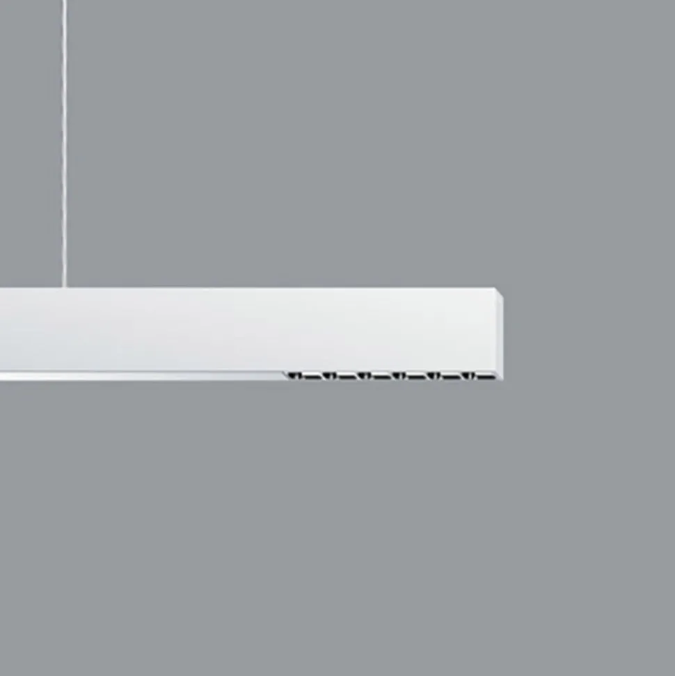 ERCO Compar P DALI up/down oval wide hvid/sølv 940