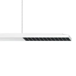 ERCO Jilly P DALI up/down, oval wide hvid/sort 830