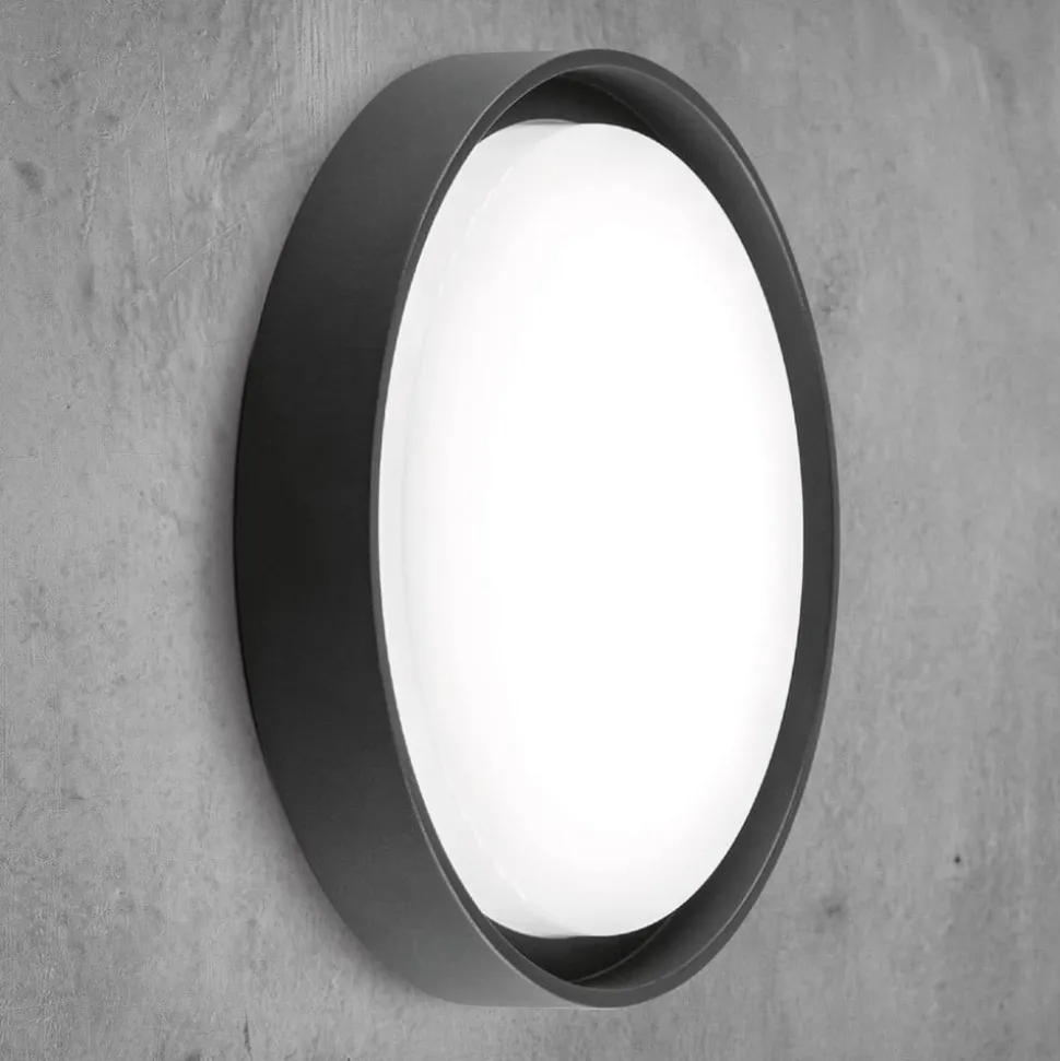 EVN LED udendørs loftlampe Tectum, antracit, Ø 25 cm