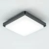 EVN LED udendørs loftlampe Tectum, 23x23 cm, antracit, 150°