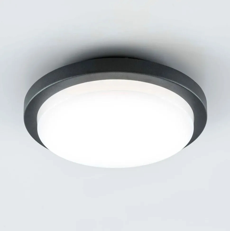 EVN Tectum LED udendørs loftlampe, rund, Ø 24,6 cm