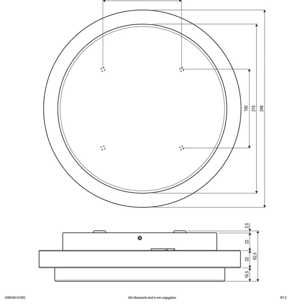 EVN Tectum LED udendørs loftlampe, rund, Ø 24,6 cm