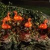 Flamingo LED dekorationslys i et sæt med 5 stk