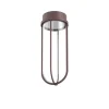 FLOS In Vitro Ceiling, 2700K, mørkebrun