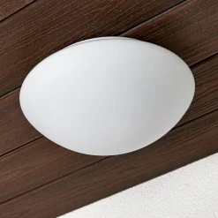 Glas-udendørs væglampe Tokyo 28 cm IP44