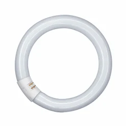 G10q 22W 865 Lumilux T9C ringformet lysstofrør