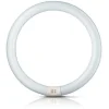 G10q 32W 840 ring-lysstofrør Master Circular TL-E