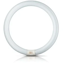 G10q 32W 840 ring-lysstofrør Master Circular TL-E