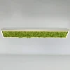Green Knut LED-loftlampe med ægte mos
