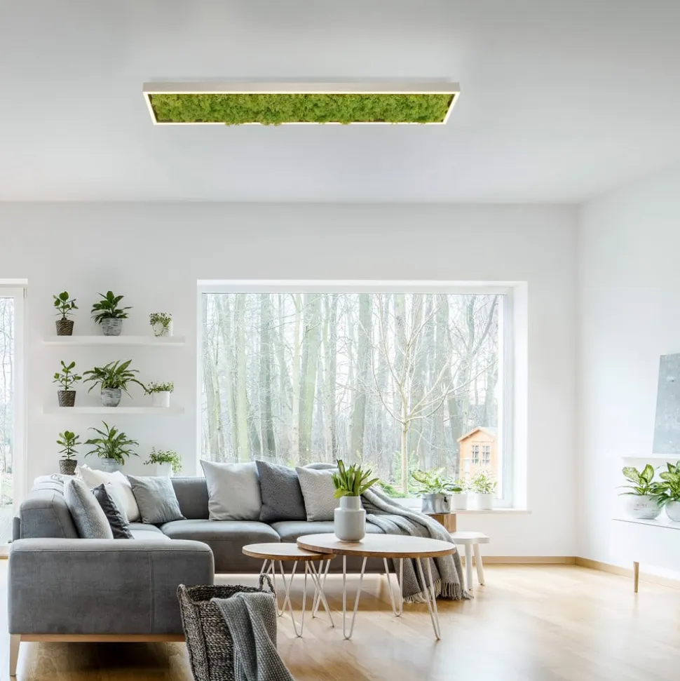 Green Knut LED-loftlampe med ægte mos