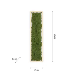 Green Knut LED-loftlampe med ægte mos
