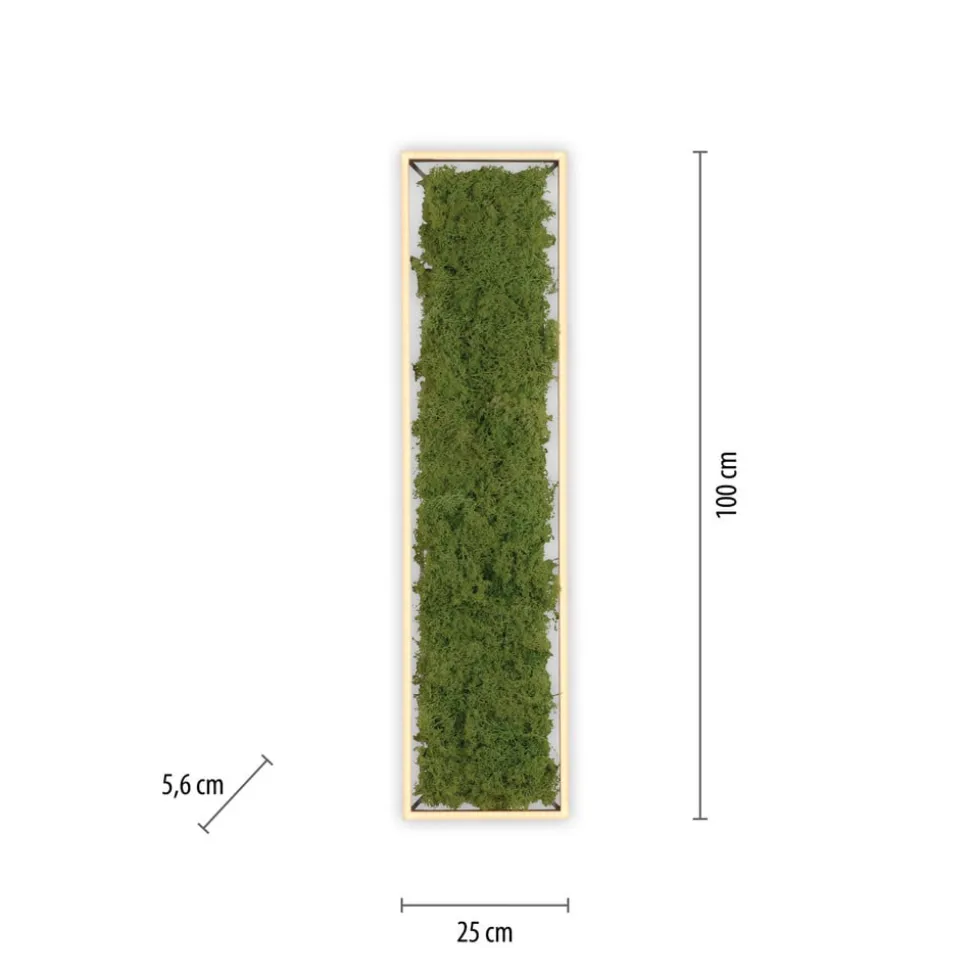 Green Knut LED-loftlampe med ægte mos