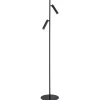 Gulvlampe Torre, 2 lyskilder, sort