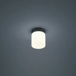 Helestra Keto LED-loftlampe, cylinder, sort