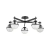 Hollis loftlampe, 5 lyskilder, sort/klar