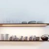 IN-Stick SF slank LED-indbygningslampe - 83cm lang