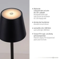 JUST LIGHT. Euria LED-bordlampe, sort, jern IP54
