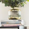 KARE Vase LA Noble, højde 18 cm, glas, guld/klar, håndlavet