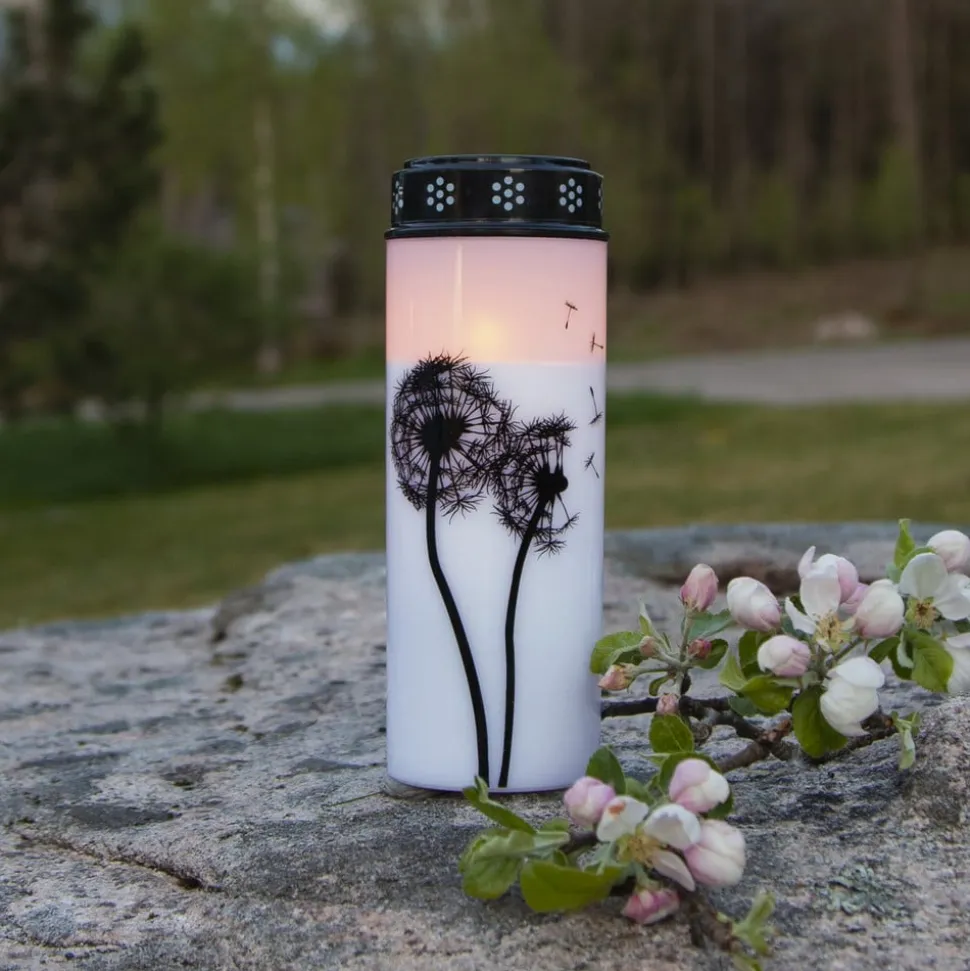 LED gravlys Mælkebøtte, 21 cm hvid/sort plast batteri