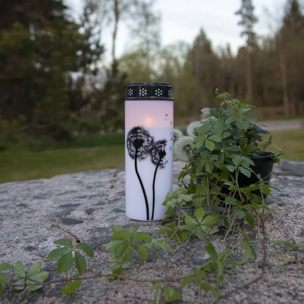LED gravlys Mælkebøtte, 21 cm hvid/sort plast batteri