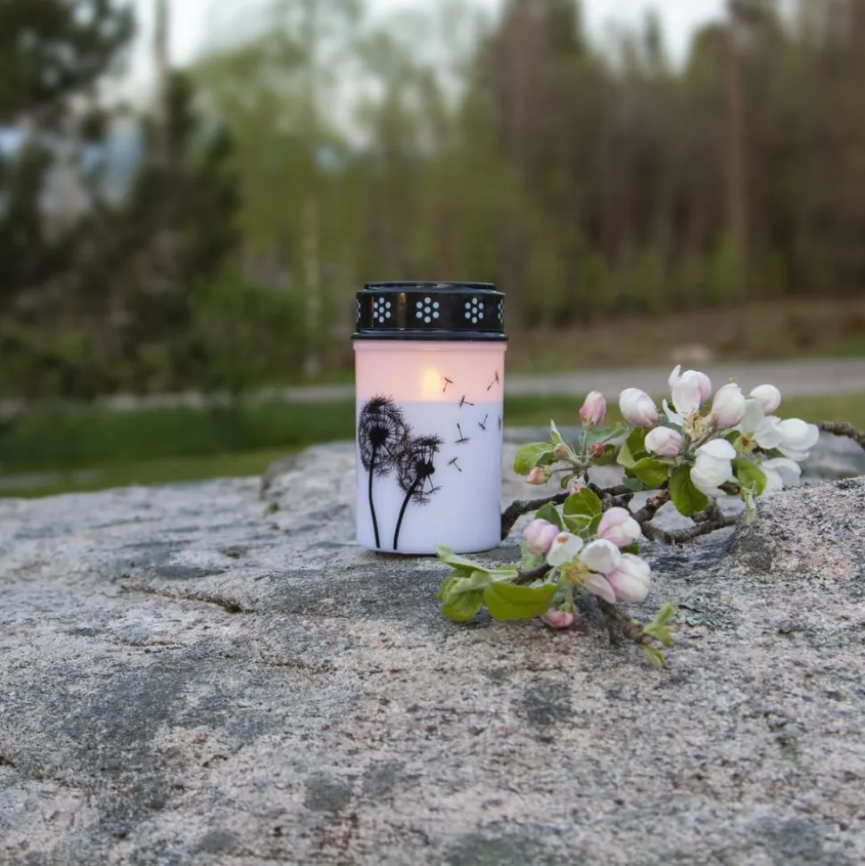 LED gravlys Mælkebøtte, 12 cm hvid/sort plast batteri
