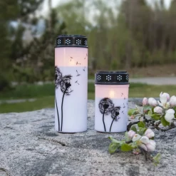 LED gravlys Mælkebøtte, 12 cm hvid/sort plast batteri
