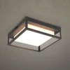 LED udendørs loftslampe Witham IP54, CCT, antracit