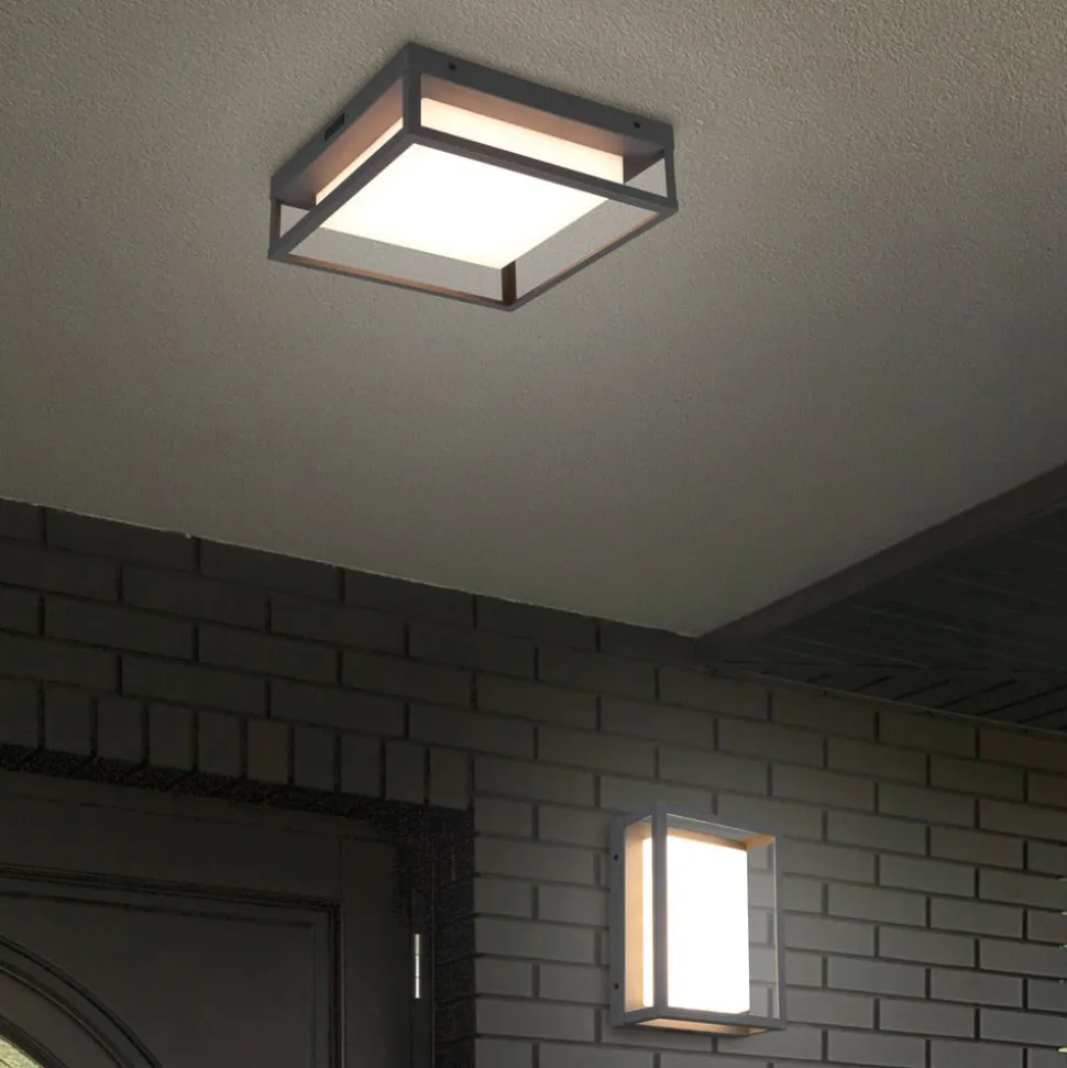 LED udendørs loftslampe Witham IP54, CCT, antracit
