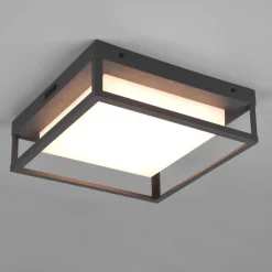 LED udendørs loftslampe Witham IP54, CCT, antracit