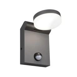 LED udendørs væglampe Adour, antracit, sensor, kipbar, CCT