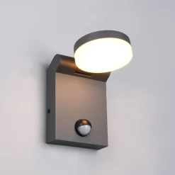 LED udendørs væglampe Adour, antracit, sensor, kipbar, CCT