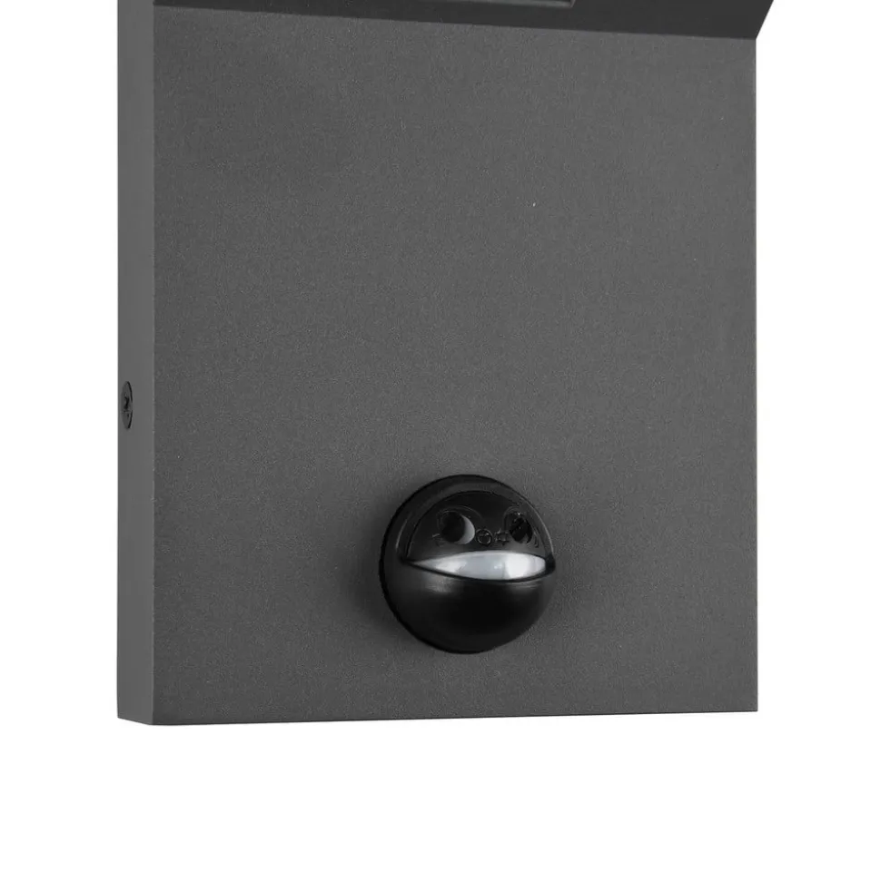 LED udendørs væglampe Adour, antracit, sensor, kipbar, CCT